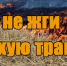 Пал травы — одна из главных причин лесных пожаров - Пыщугский муниципальный округ